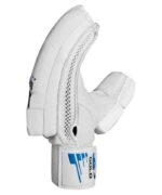 CA Gold 10000 Sheepskin leather cricket gloves