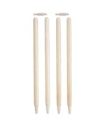 Cricket Set with Bat, Ball & Stumps - Image 3