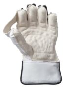 cricket gloves for club players