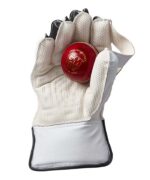 best wicket keeper gloves
