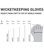 cricket accessories