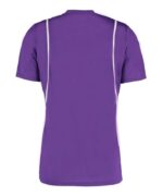 Dry-Wicking Polyester Tee